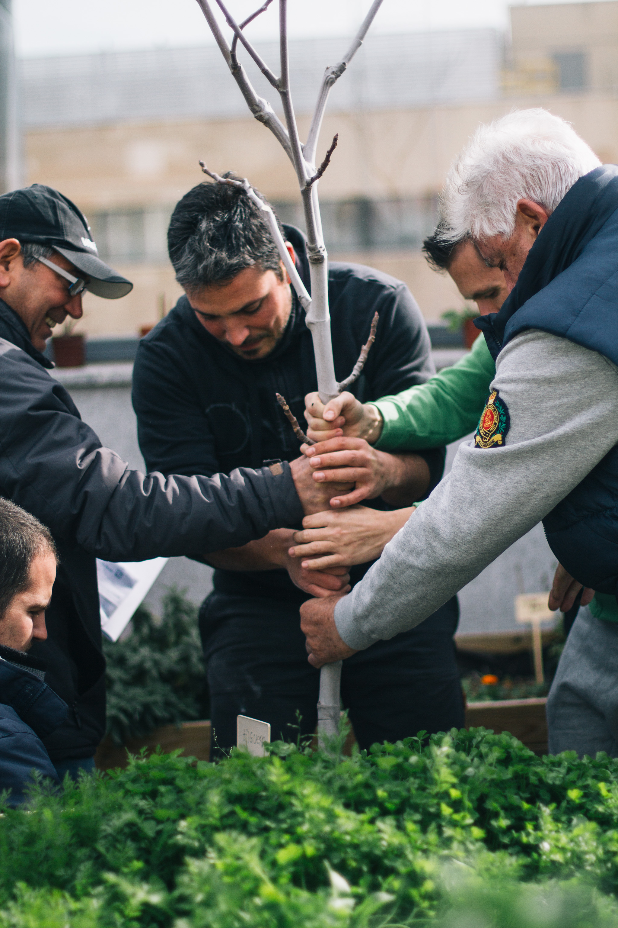 _mg_0707_24617643200_o