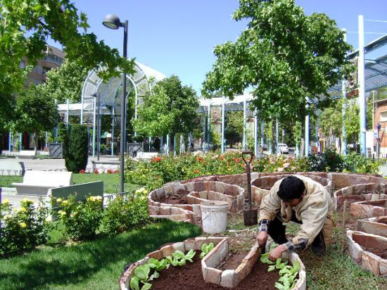 labores de preparación del huerto de Pradillo